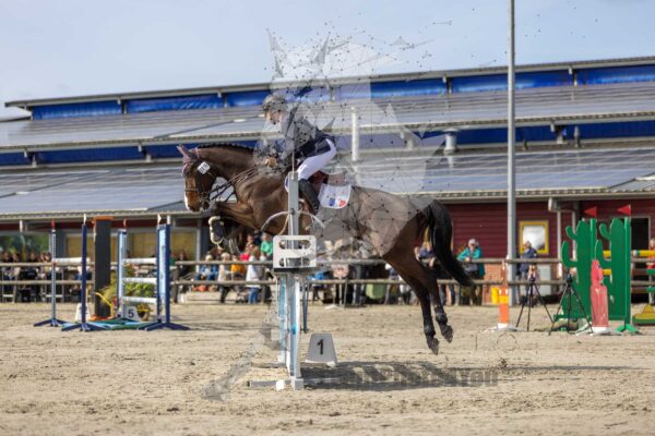Photography #110427 from 2024 NHHT CCI4*S SJ