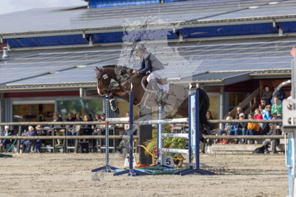 Photography #110431 from 2024 NHHT CCI4*S SJ