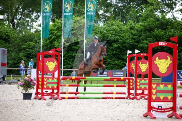 Photography #116709 from 20240519 80 Paarden