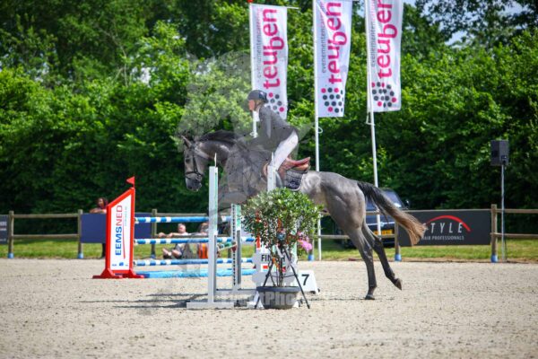 Photography #116873 from 20240519 80 Paarden