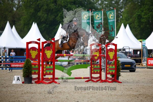 Photography #118924 from 20240520 130 Paarden
