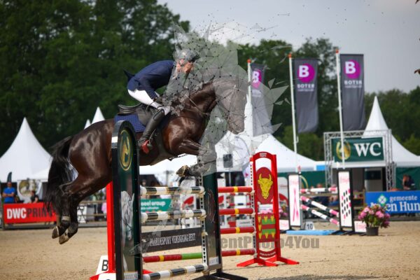Photography #118998 from 20240520 130 Paarden