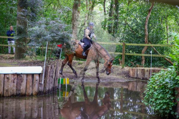 Photography #121794 from 20240824 Zaterdag op volgorde