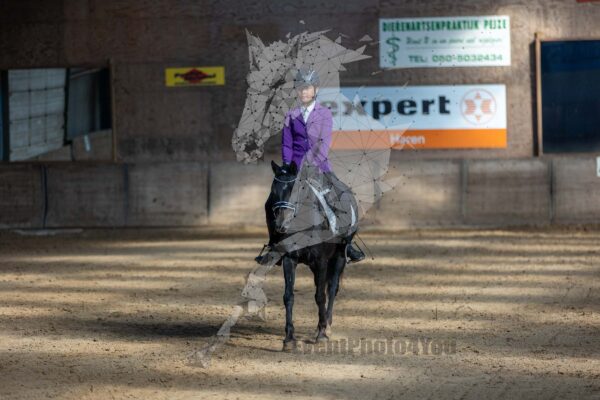 Photography #128925 from 20240922 Onderling Polarfurst (Pony's)
