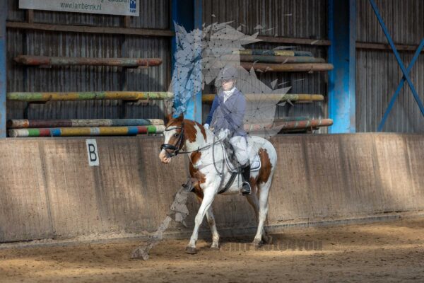 Photography #129535 from 20240922 Onderling Polarfurst (Pony's)