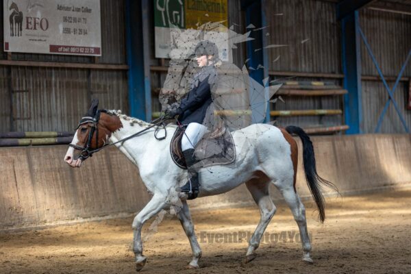 Photography #129750 from 20240922 Onderling Polarfurst (Pony's)