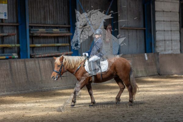 Photography #129909 from 20240922 Onderling Polarfurst (Pony's)