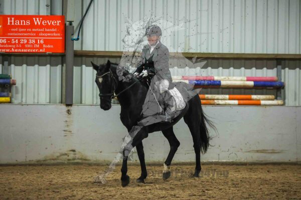 Photography #133501 from 20241116 L1 Paarden