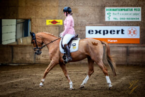 20250119 PSC Jan Dolfing Dressuur Paarden