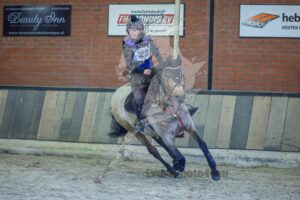 250209 70cm BB paarden