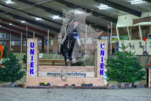250209 80cm B paarden