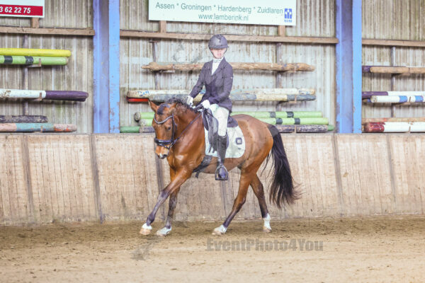 Photography #151399 from 250301 B Paarden