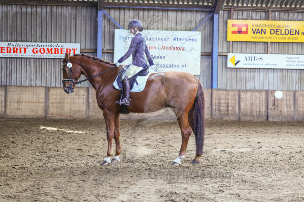 Photography #151743 from 250301 M1 M2 Paarden