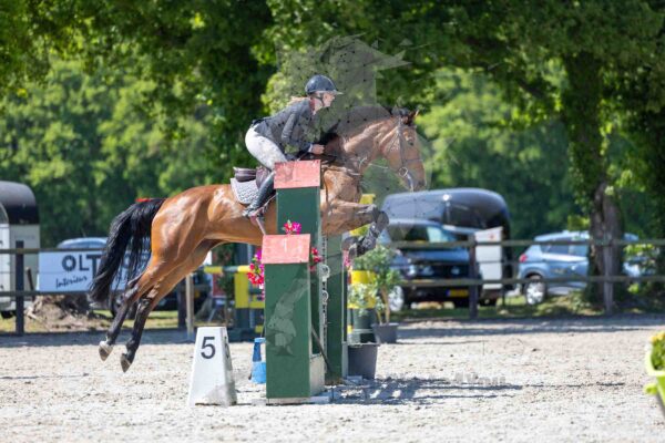 Photography #155364 from HF25 Paarden 1.10