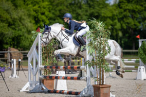 HF25 Pony's