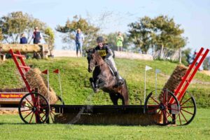 250907 B Paarden Intro
