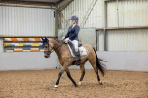 251122 Pony's