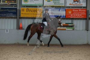 251122 L1 Paarden