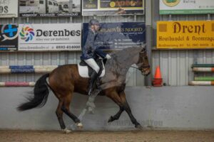251123 M1 Paarden