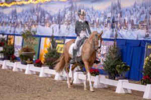 251227 Z1-Z2 Pony's
