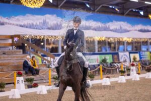 251227 Z2 Paarden