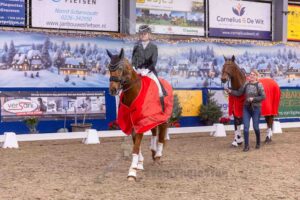 251227 ZZZ Paarden