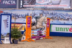 251226 Pony's 70-80 Rijstijl met ingesloten barrage
