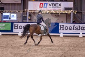251227 Z1 Paarden