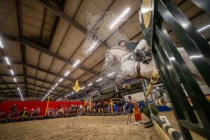 251229 Paarden 120cm Snel- en wendbaarheid