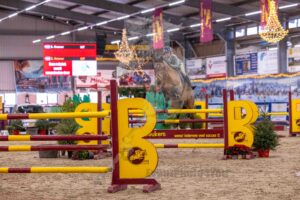 251228 Paarden 120cm Klassiek