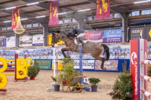 251228 Paarden 130cm