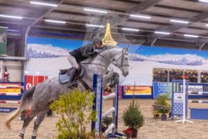 251228 Paarden 135cm