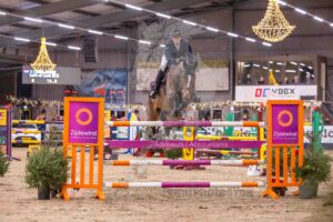 251228 Paarden 140 Klassiek