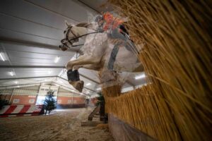 260207 80cm L Pony's en B Paarden