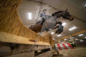 260207 100cm M Paarden