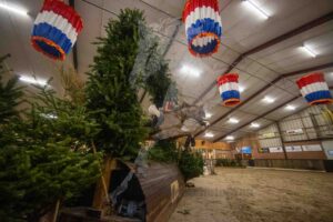 260207 90cm M Pony's en L Paarden