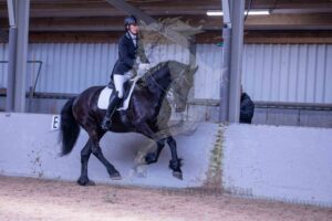 2-260214 L1 en M1 Paarden