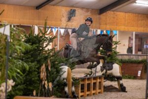 260207 70cm B pony's