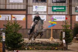 260208 65cm Pony's en Paarden