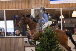 260208 80cm Paarden