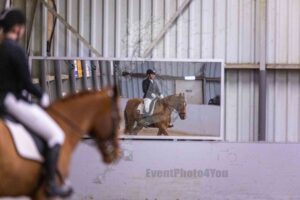 1-260214 L2 en B Paarden