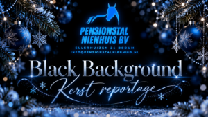 2026 BBG Kerst reportage Nienhuis.