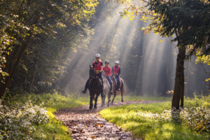261004 Endurance Kuinderbos